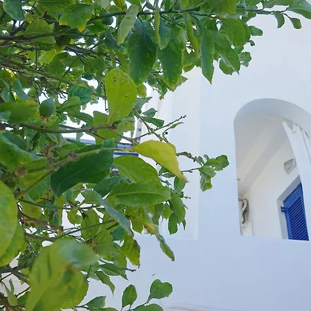 Apartment Klironomos