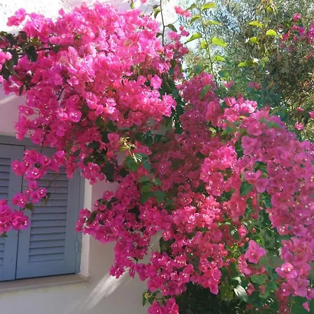 Klironomos Apartman *