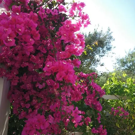 Klironomos Apartment