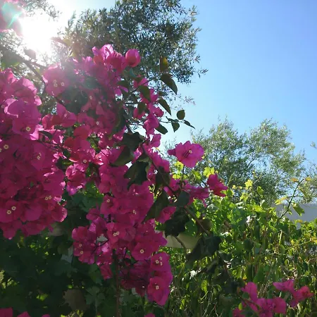 Apartment Klironomos