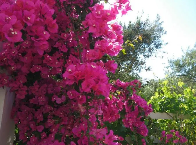 Klironomos Apartment